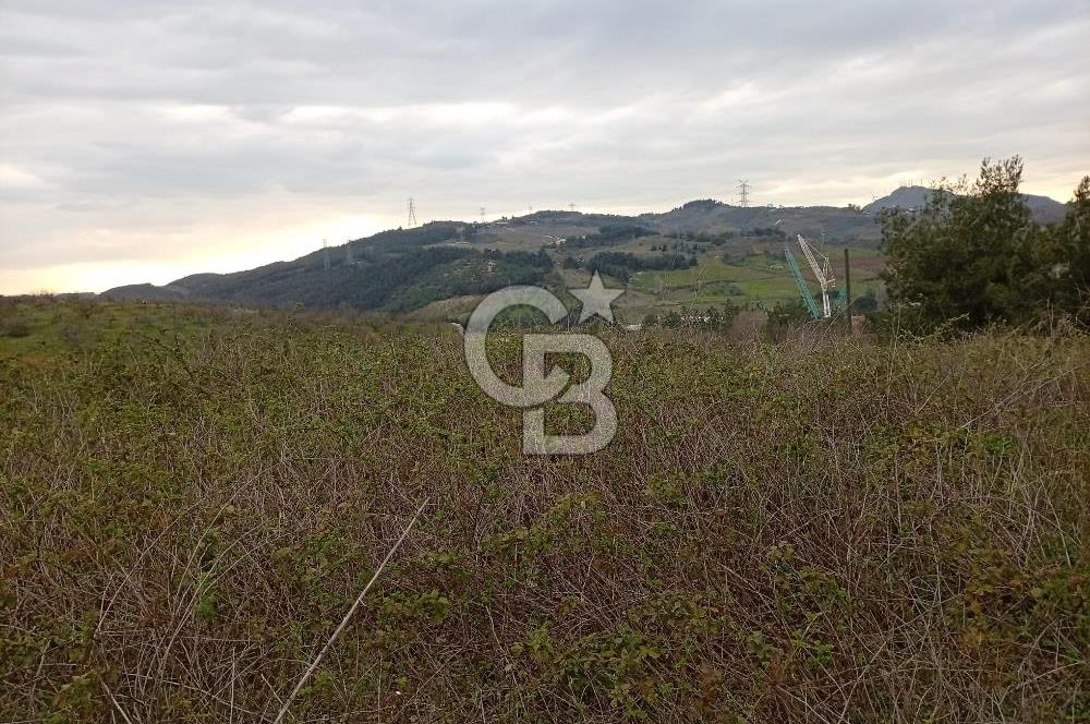 CB CLASS BURSA-YALOVA ANA YOLUNA CEPHELİ 5812 M2 YATIRIM FIRSATI