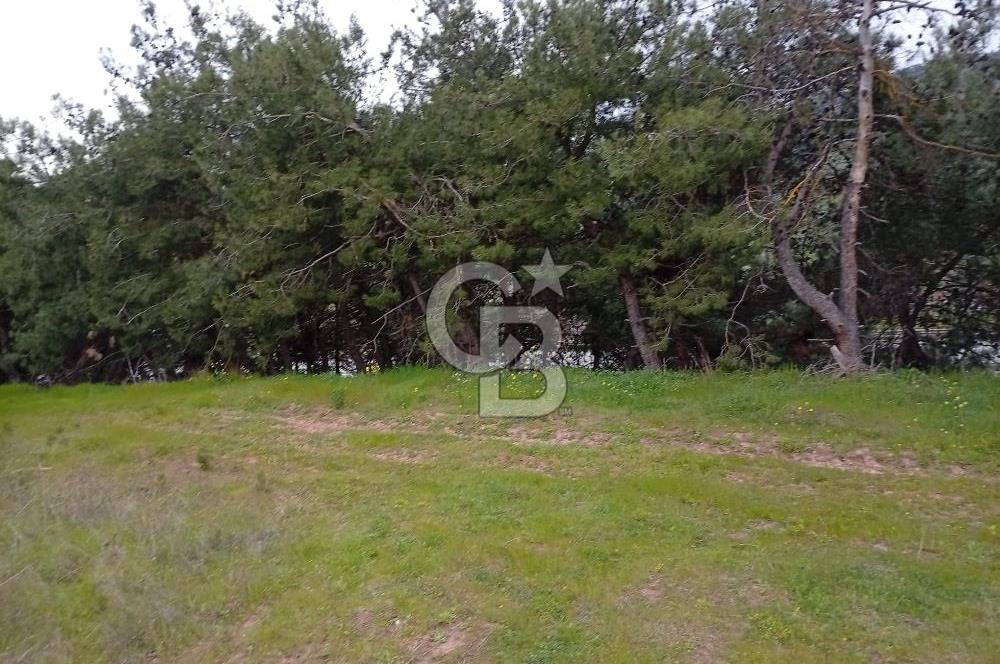 CB CLASS BURSA-YALOVA ANA YOLUNA CEPHELİ 5812 M2 YATIRIM FIRSATI