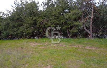 CB CLASS BURSA-YALOVA ANA YOLUNA CEPHELİ 5812 M2 YATIRIM FIRSATI