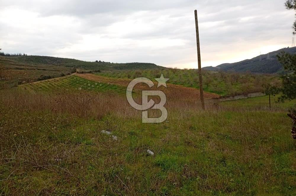 CB CLASS BURSA-YALOVA ANA YOLUNA CEPHELİ 5812 M2 YATIRIM FIRSATI