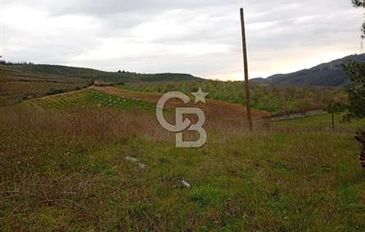 CB CLASS BURSA-YALOVA ANA YOLUNA CEPHELİ 5812 M2 YATIRIM FIRSATI