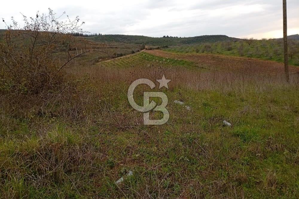CB CLASS BURSA-YALOVA ANA YOLUNA CEPHELİ 5812 M2 YATIRIM FIRSATI