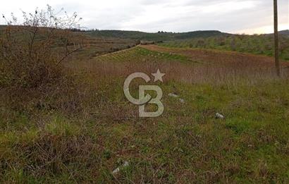 CB CLASS BURSA-YALOVA ANA YOLUNA CEPHELİ 5812 M2 YATIRIM FIRSATI