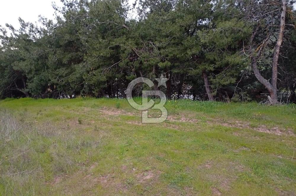 CB CLASS BURSA-YALOVA ANA YOLUNA CEPHELİ 5812 M2 YATIRIM FIRSATI