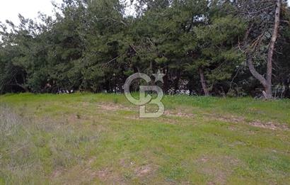 CB CLASS BURSA-YALOVA ANA YOLUNA CEPHELİ 5812 M2 YATIRIM FIRSATI