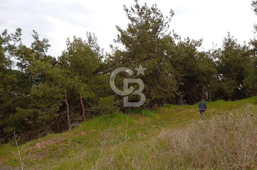 CB CLASS BURSA-YALOVA ANA YOLUNA CEPHELİ 5812 M2 YATIRIM FIRSATI