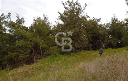 CB CLASS BURSA-YALOVA ANA YOLUNA CEPHELİ 5812 M2 YATIRIM FIRSATI