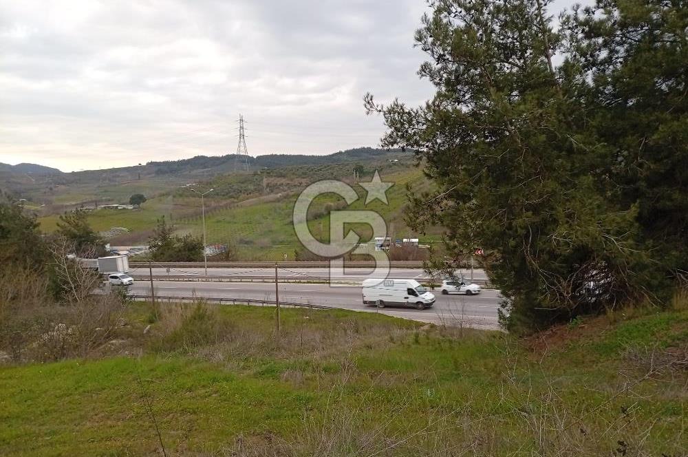 CB CLASS BURSA-YALOVA ANA YOLUNA CEPHELİ 5812 M2 YATIRIM FIRSATI