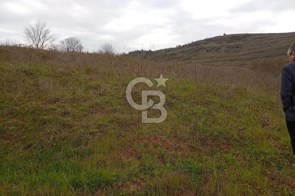 CB CLASS BURSA-YALOVA ANA YOLUNA CEPHELİ 5812 M2 YATIRIM FIRSATI