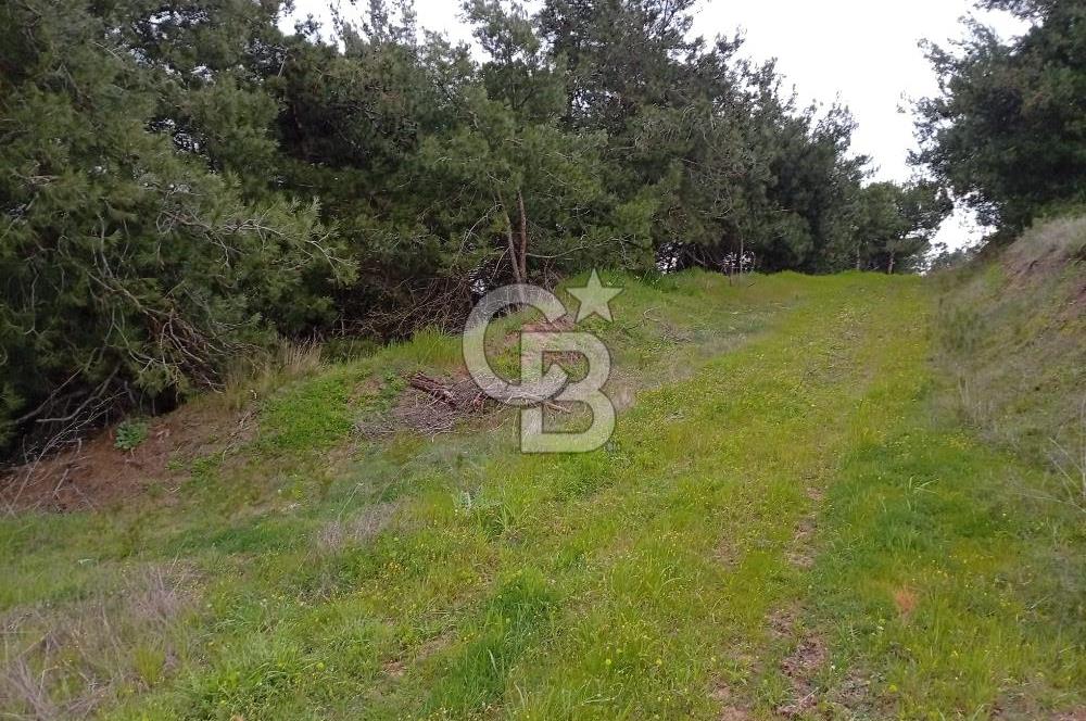 CB CLASS BURSA-YALOVA ANA YOLUNA CEPHELİ 5812 M2 YATIRIM FIRSATI