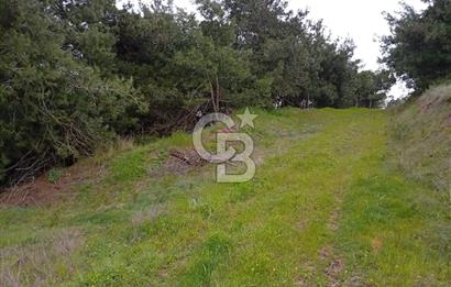 CB CLASS BURSA-YALOVA ANA YOLUNA CEPHELİ 5812 M2 YATIRIM FIRSATI