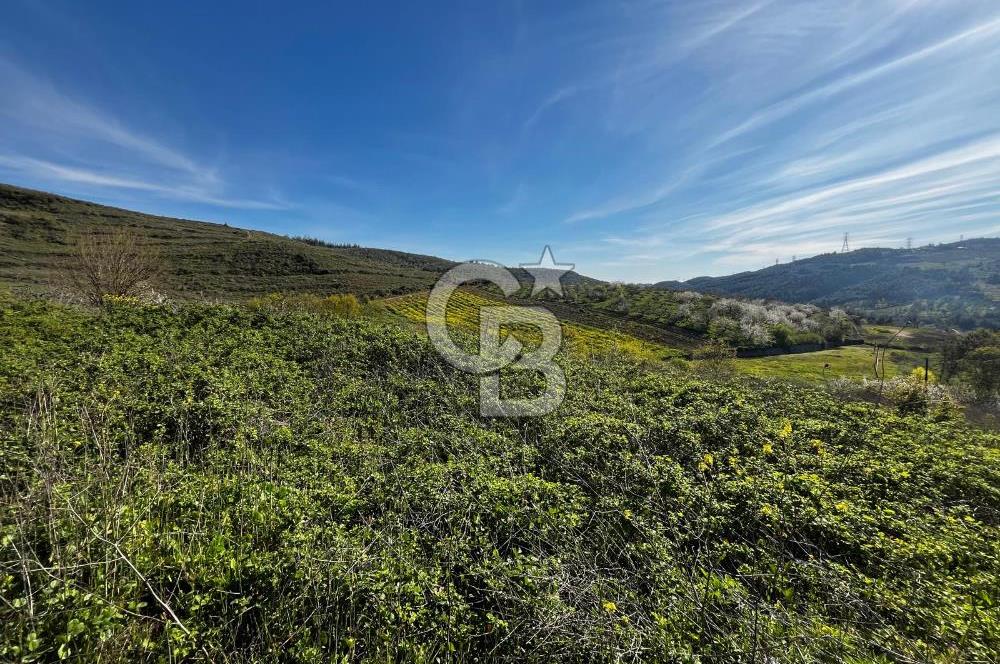 CB CLASS BURSA-YALOVA ANA YOLUNA CEPHELİ 5812 M2 YATIRIM FIRSATI