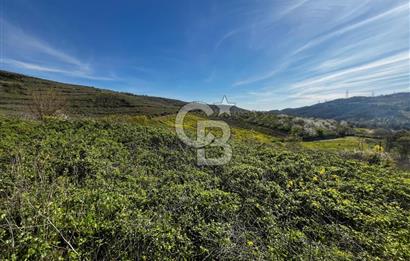 CB CLASS BURSA-YALOVA ANA YOLUNA CEPHELİ 5812 M2 YATIRIM FIRSATI