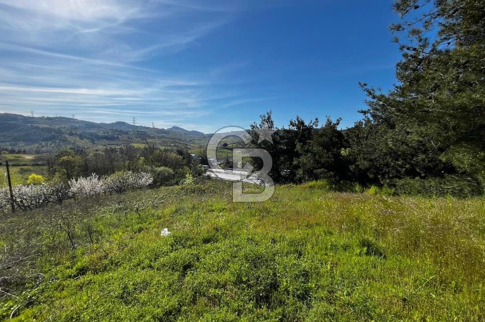 CB CLASS BURSA-YALOVA ANA YOLUNA CEPHELİ 5812 M2 YATIRIM FIRSATI