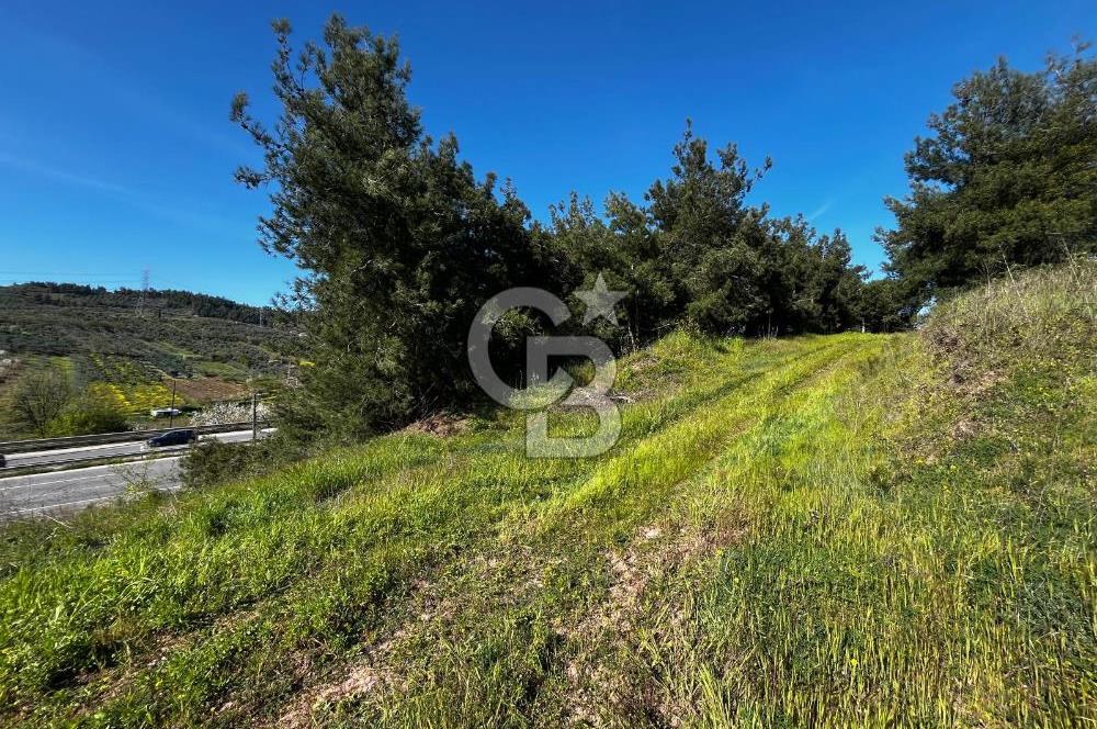 CB CLASS BURSA-YALOVA ANA YOLUNA CEPHELİ 5812 M2 YATIRIM FIRSATI