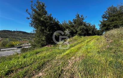 CB CLASS BURSA-YALOVA ANA YOLUNA CEPHELİ 5812 M2 YATIRIM FIRSATI