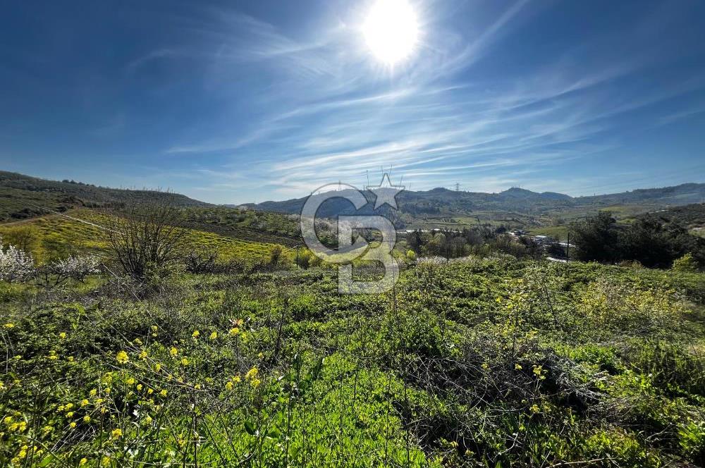 CB CLASS BURSA-YALOVA ANA YOLUNA CEPHELİ 5812 M2 YATIRIM FIRSATI