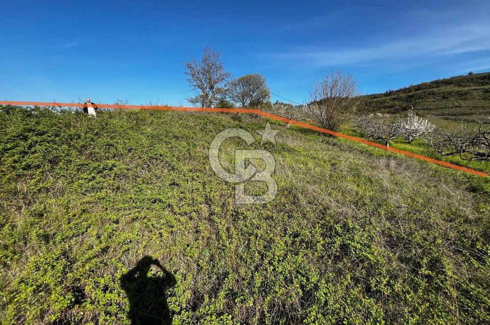 CB CLASS BURSA-YALOVA ANA YOLUNA CEPHELİ 5812 M2 YATIRIM FIRSATI