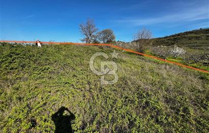 CB CLASS BURSA-YALOVA ANA YOLUNA CEPHELİ 5812 M2 YATIRIM FIRSATI