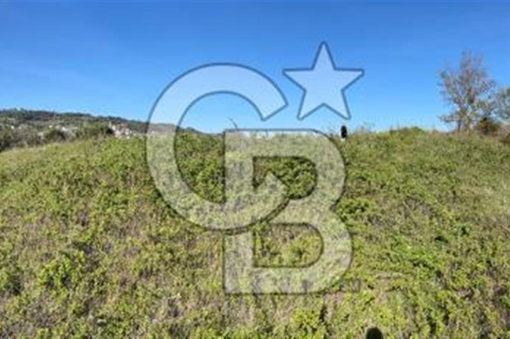 CB CLASS BURSA-YALOVA ANA YOLUNA CEPHELİ 5812 M2 YATIRIM FIRSATI