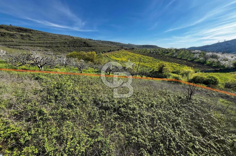 CB CLASS BURSA-YALOVA ANA YOLUNA CEPHELİ 5812 M2 YATIRIM FIRSATI