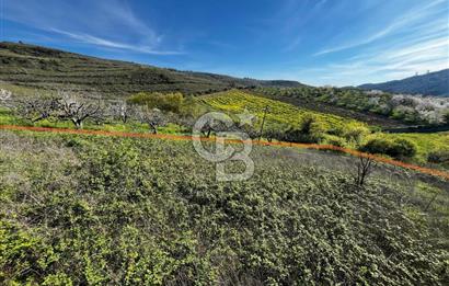 CB CLASS BURSA-YALOVA ANA YOLUNA CEPHELİ 5812 M2 YATIRIM FIRSATI