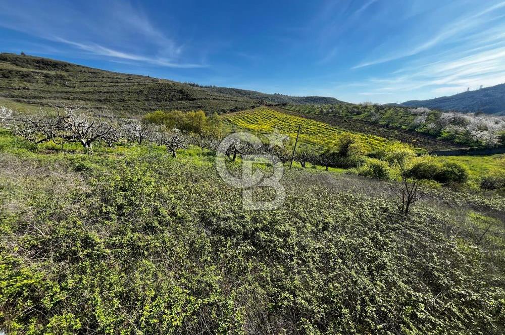 CB CLASS BURSA-YALOVA ANA YOLUNA CEPHELİ 5812 M2 YATIRIM FIRSATI