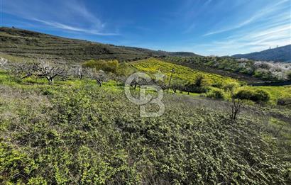 CB CLASS BURSA-YALOVA ANA YOLUNA CEPHELİ 5812 M2 YATIRIM FIRSATI