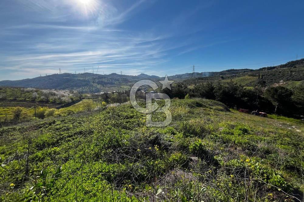 CB CLASS BURSA-YALOVA ANA YOLUNA CEPHELİ 5812 M2 YATIRIM FIRSATI