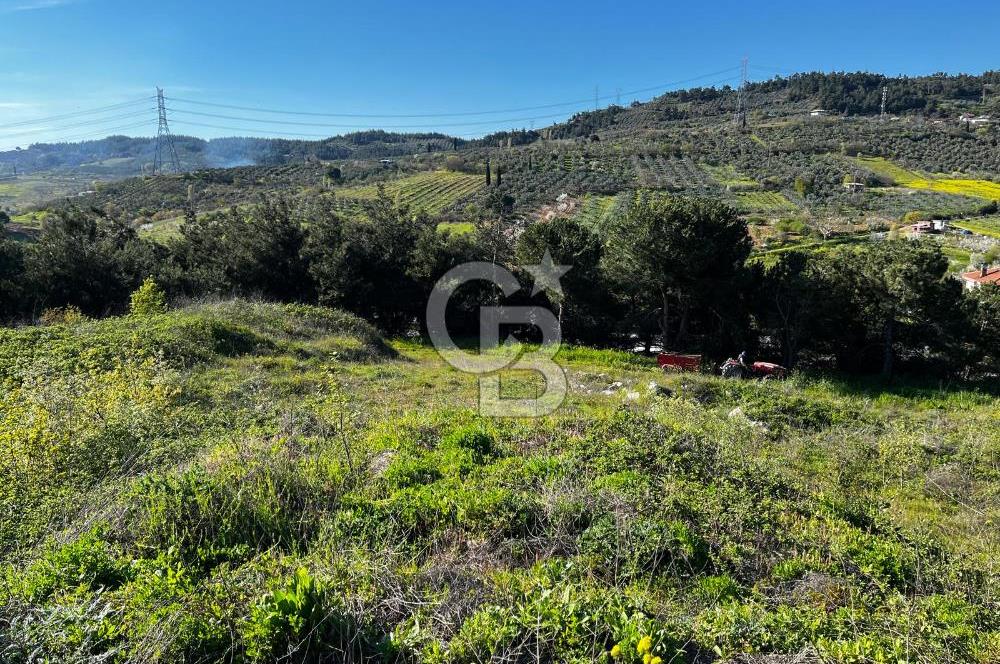 CB CLASS BURSA-YALOVA ANA YOLUNA CEPHELİ 5812 M2 YATIRIM FIRSATI