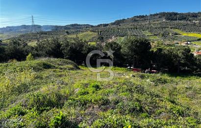 CB CLASS BURSA-YALOVA ANA YOLUNA CEPHELİ 5812 M2 YATIRIM FIRSATI