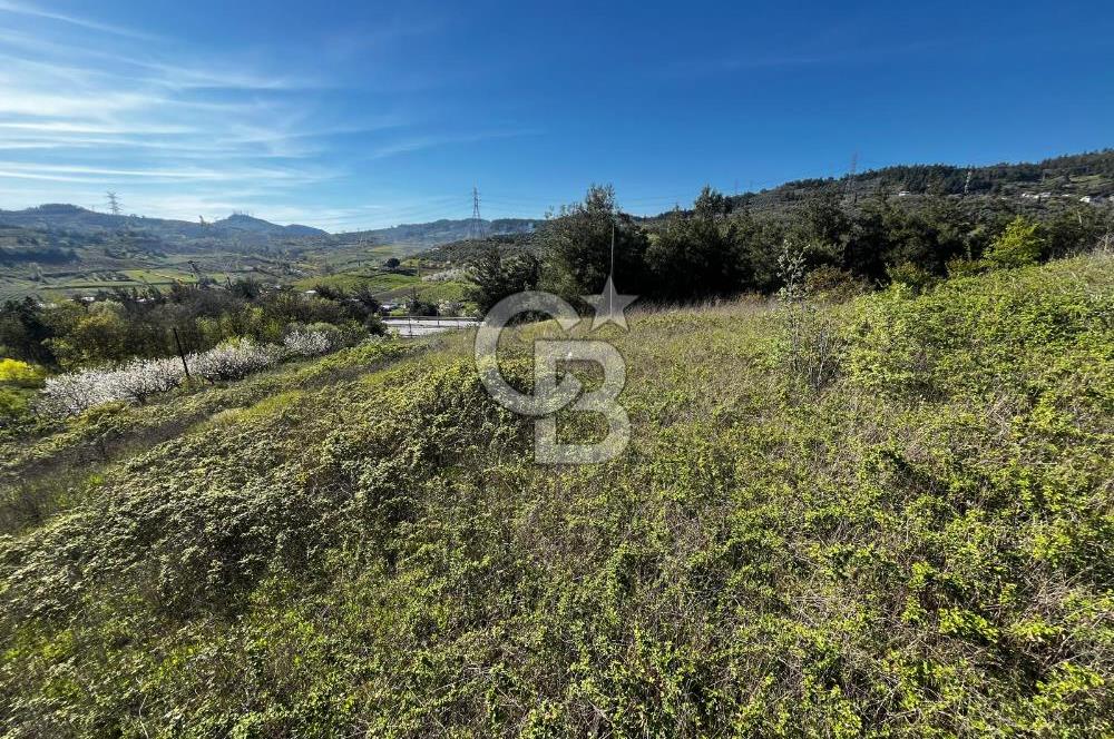 CB CLASS BURSA-YALOVA ANA YOLUNA CEPHELİ 5812 M2 YATIRIM FIRSATI