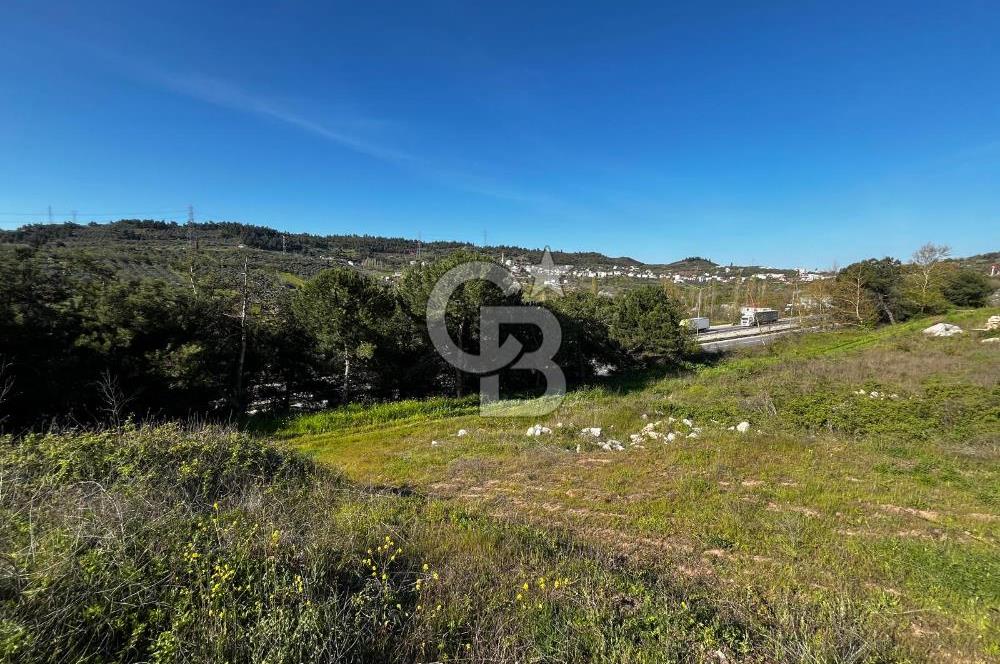 CB CLASS BURSA-YALOVA ANA YOLUNA CEPHELİ 5812 M2 YATIRIM FIRSATI