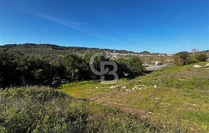 CB CLASS BURSA-YALOVA ANA YOLUNA CEPHELİ 5812 M2 YATIRIM FIRSATI