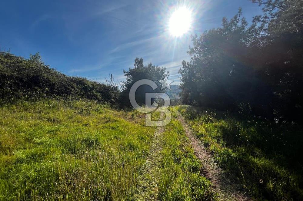 CB CLASS BURSA-YALOVA ANA YOLUNA CEPHELİ 5812 M2 YATIRIM FIRSATI