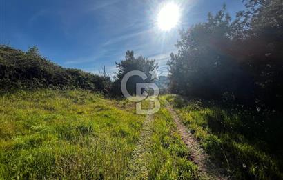 CB CLASS BURSA-YALOVA ANA YOLUNA CEPHELİ 5812 M2 YATIRIM FIRSATI