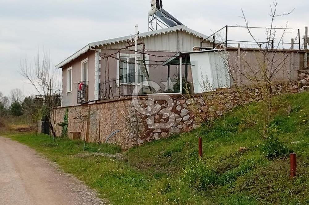 CB CLASS KESTEL GÖZEDE'DE ORMAN MANZARALI YOL+SU 906 M2 TARLA