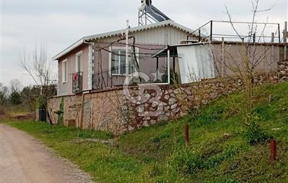 CB CLASS KESTEL GÖZEDE'DE ORMAN MANZARALI YOL+SU 906 M2 TARLA