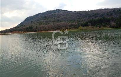 CB CLASS KESTEL GÖZEDE'DE ORMAN MANZARALI YOL+SU 906 M2 TARLA