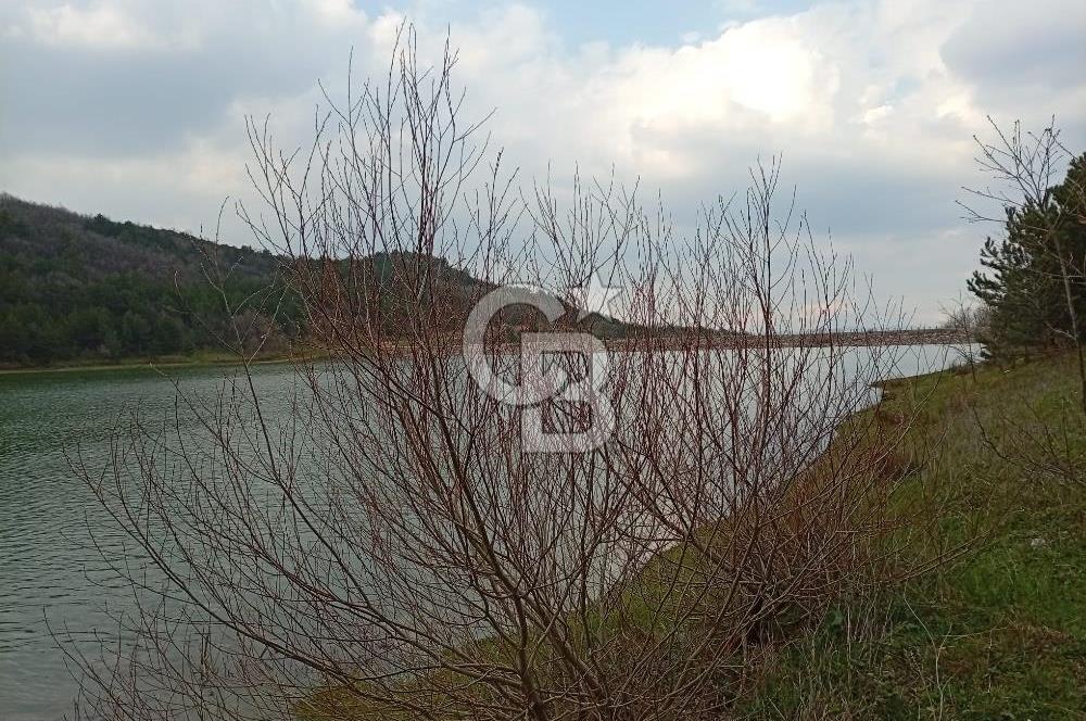 CB CLASS KESTEL GÖZEDE'DE ORMAN MANZARALI YOL+SU 906 M2 TARLA