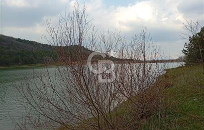 CB CLASS KESTEL GÖZEDE'DE ORMAN MANZARALI YOL+SU 906 M2 TARLA