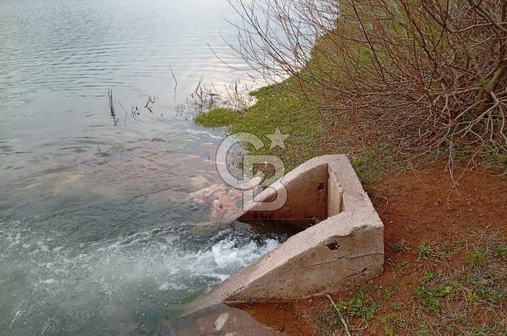 CB CLASS KESTEL GÖZEDE'DE ORMAN MANZARALI YOL+SU 906 M2 TARLA