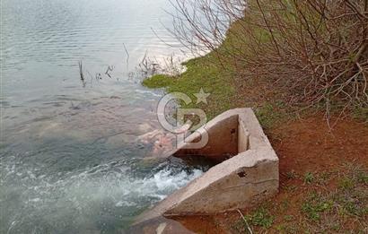 CB CLASS KESTEL GÖZEDE'DE ORMAN MANZARALI YOL+SU 906 M2 TARLA