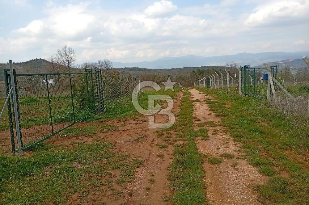 CB CLASS KESTEL GÖZEDE'DE ORMAN MANZARALI YOL+SU 906 M2 TARLA