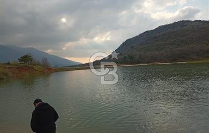 CB CLASS KESTEL GÖZEDE'DE ORMAN MANZARALI YOL+SU 906 M2 TARLA