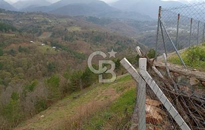 CB CLASS KESTEL GÖZEDE'DE ORMAN MANZARALI YOL+SU 906 M2 TARLA