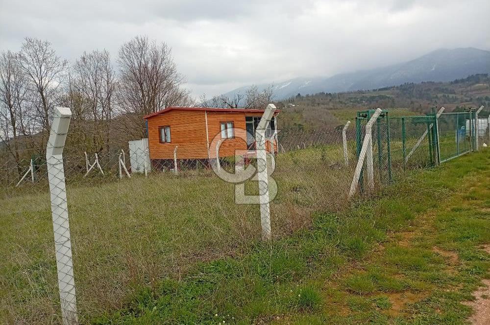 CB CLASS KESTEL GÖZEDE'DE ORMAN MANZARALI YOL+SU 906 M2 TARLA