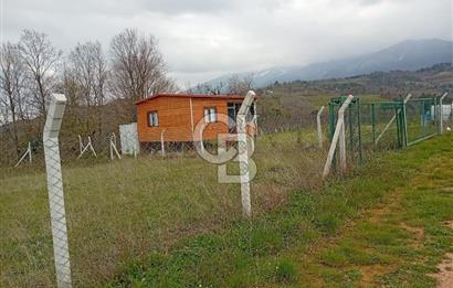 CB CLASS KESTEL GÖZEDE'DE ORMAN MANZARALI YOL+SU 906 M2 TARLA