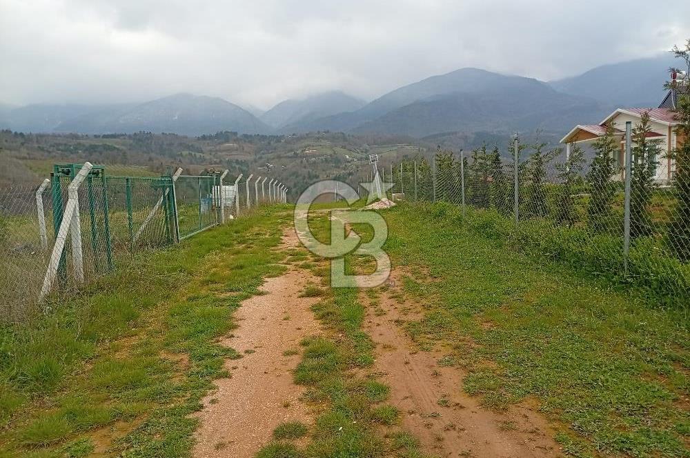 CB CLASS KESTEL GÖZEDE'DE ORMAN MANZARALI YOL+SU 906 M2 TARLA