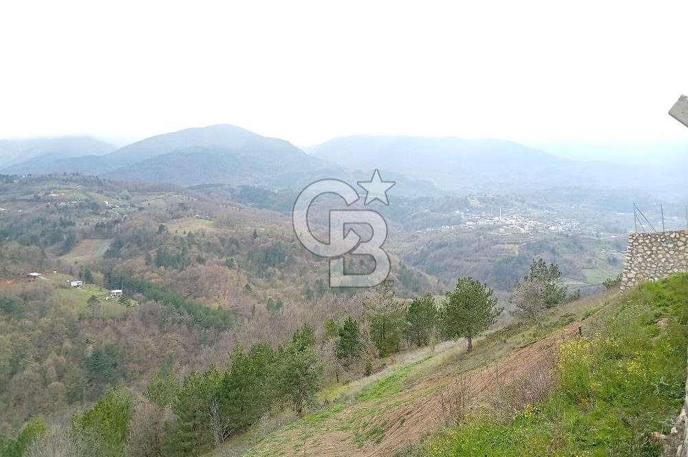 CB CLASS KESTEL GÖZEDE'DE ORMAN MANZARALI YOL+SU 906 M2 TARLA